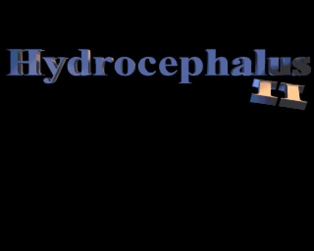 Hydro Logo